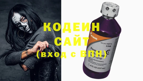 прущие грибы Аркадак