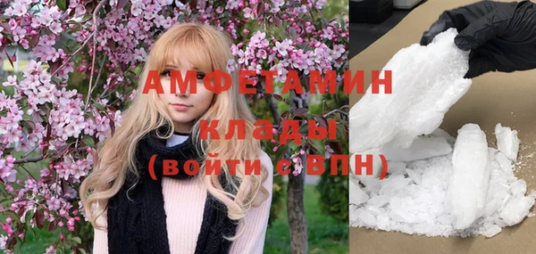 прущие грибы Аркадак