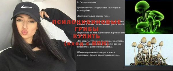mix Арсеньев