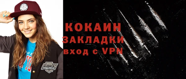 прущие грибы Аркадак