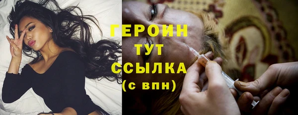 прущие грибы Аркадак