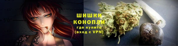 прущие грибы Аркадак