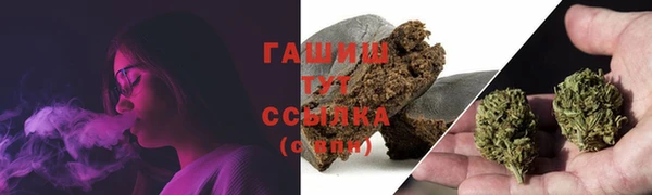 гидра Армянск