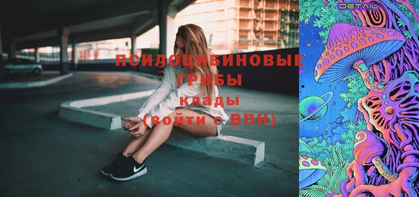 гидра Армянск