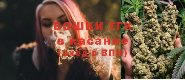 прущие грибы Аркадак