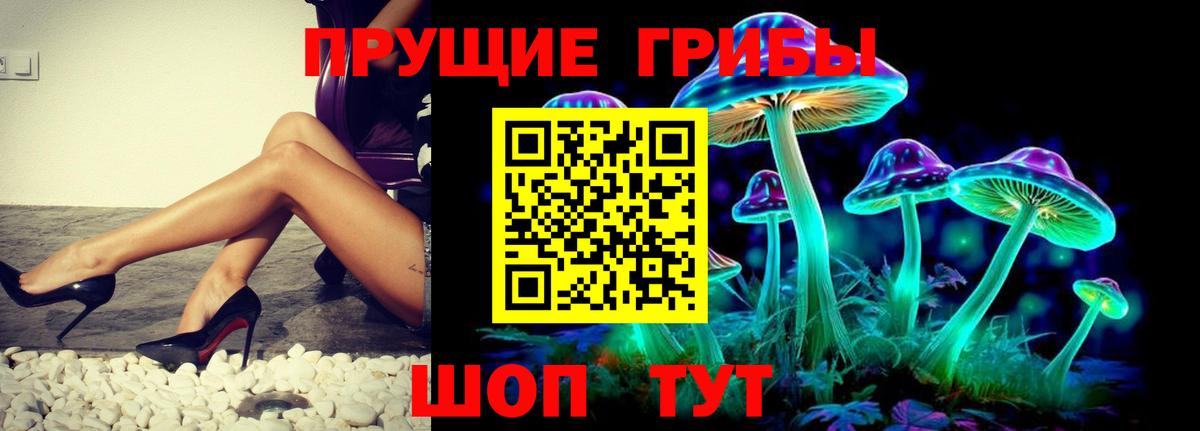 Галлюциногенные грибы Psilocybine cubensis Всеволожск
